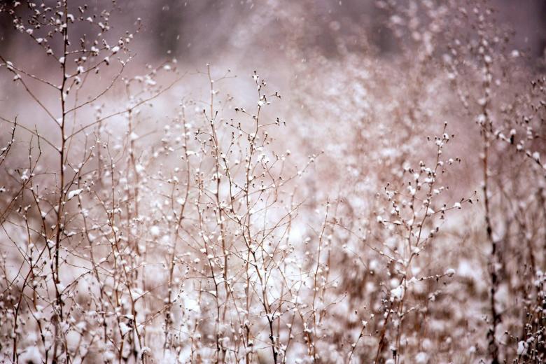 雪景