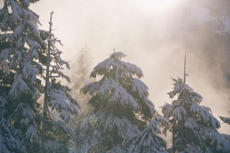 雪景