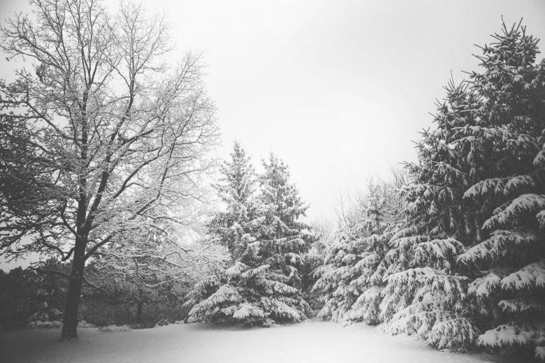 雪景