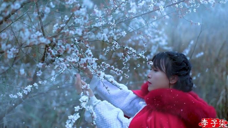网红李子柒