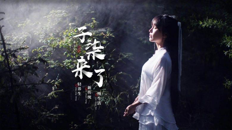 网红李子柒