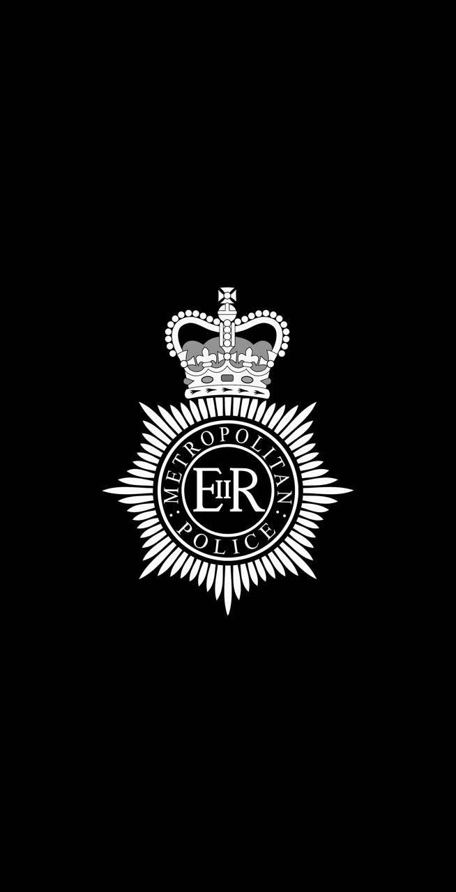 美国警徽