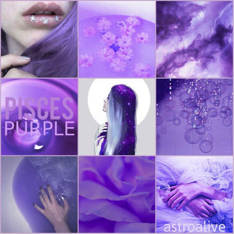 十二星座紫色美学壁纸