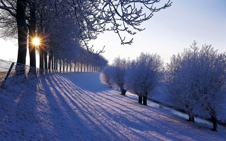 2021冬季雪景