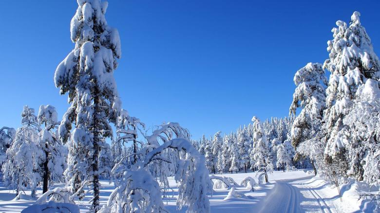 2021冬季雪景