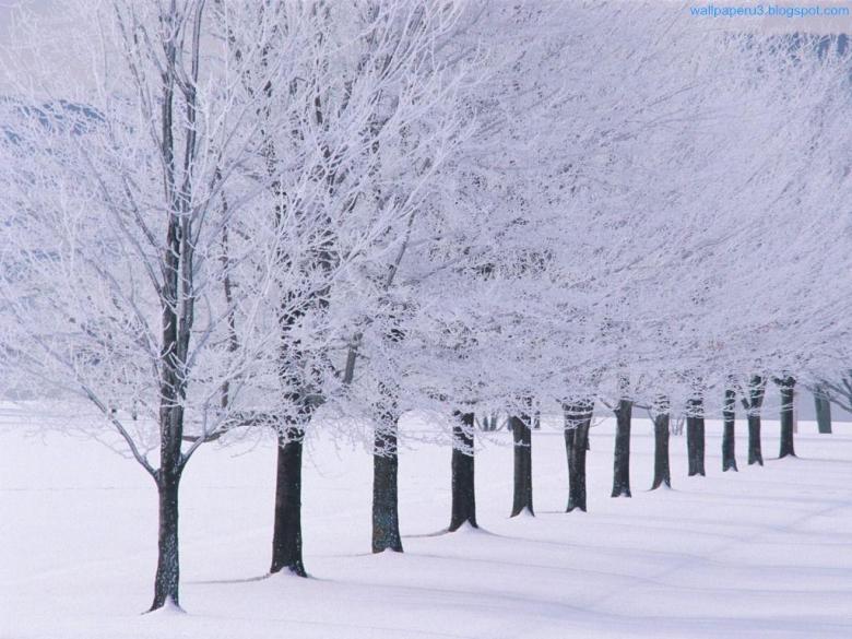 2021冬季雪景